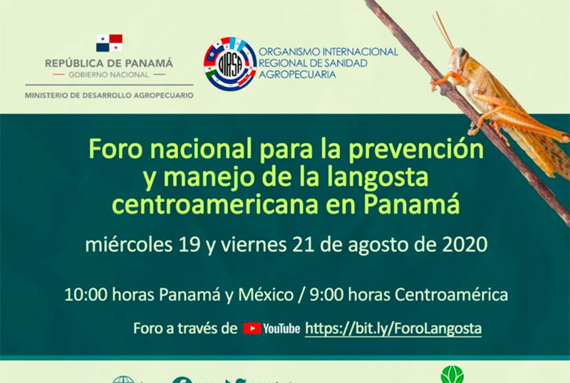 foro-langosta-centroamericana